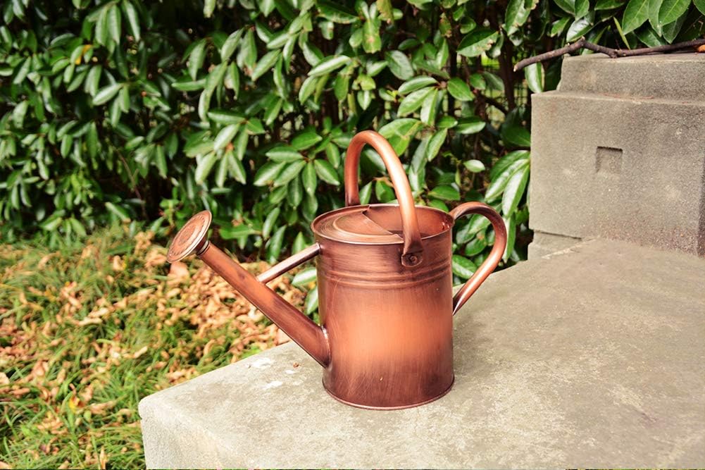 yourjoy Steel Watering Can Sliver Galvanized Steel Watering Can with Copper Accents, Removable Rosette-Diffuser, One-Gallon : Garden & Outdoor