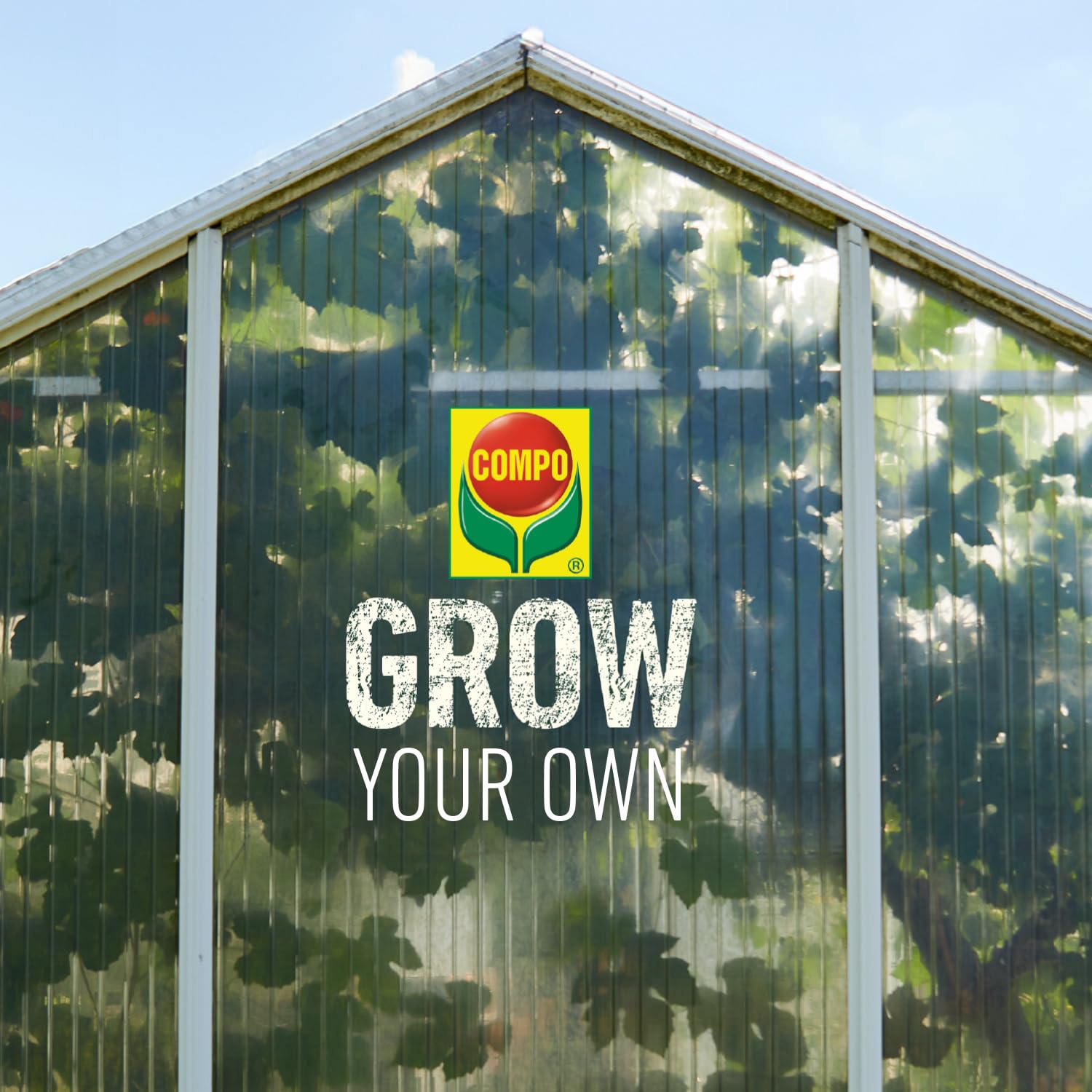 COMPO GROW Wachstum Dünger für Spezialkulturen - Dünger für Indoor & Outdoor - Spezialdünger für die Wachstumsphase - mineralisch - 500 ml, grün 6