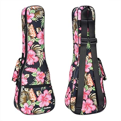 cloudmusic ukulele case