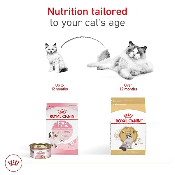 ROYAL CANIN FELINE BREED NUTRITION RAGDOLL ADULT DRY CAT FOOD, 7 LB BAG