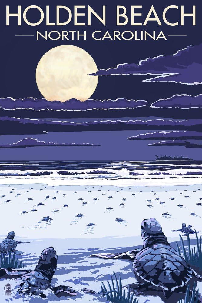 Holden Beach, North Carolina - Sea Turtles Hatching 45022 (12x18 SIGNED Print Master Art Print - Wall Decor Poster)