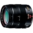 Panasonic LUMIX G X Vario 12-35mm/F2.8 ASPH./Power O.I.S./H-HS12035 - International Version (No Warranty)