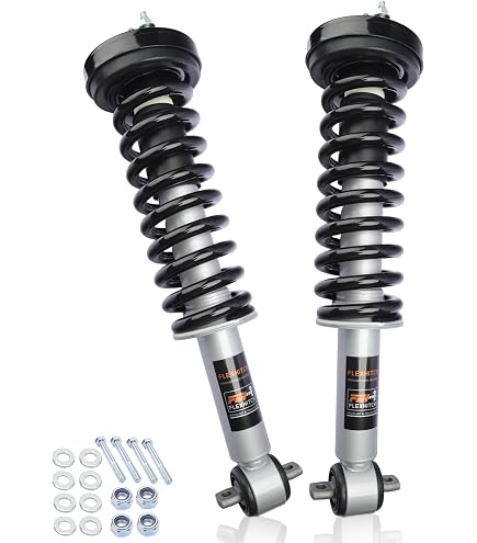 Amazon.com: Ford CV6Z-18124-AL Genuine Shock Absorber Assembly