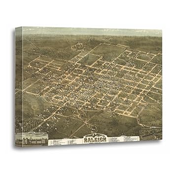 Amazon Com Torass Canvas Wall Art Print North Vintage Pictorial