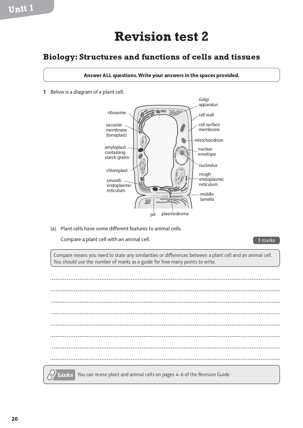 Btec National Applied Science Revision Workbook Second Edition Revise Btec Nationals In Applied Science Meunier Chris 9781292258171 Amazon Com Books