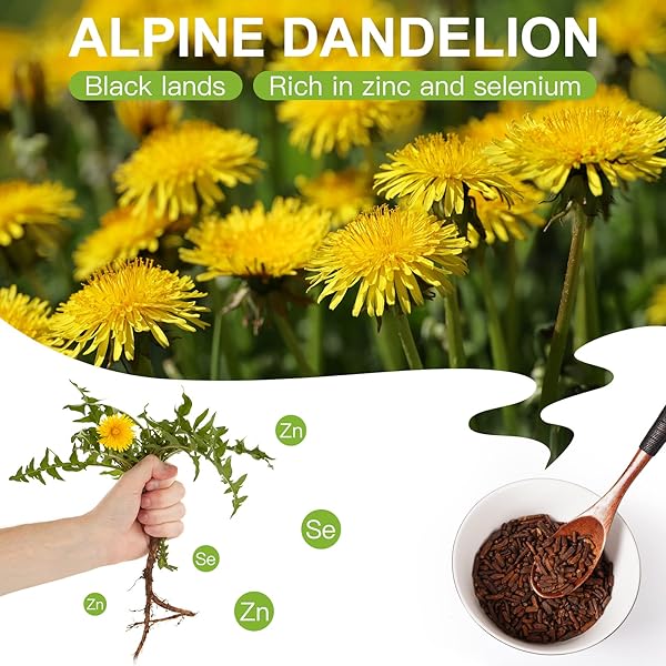 RZLINN DANDELION ROOT TEA (6G*27 TEA BAGS), ORGANIC DANDELION TEA FROM THE ALPINE MEADOWS OF THE CHANGBAI MOUNTAINS, PURE NATURAL DANDELION ROOT CUT AND ROASTED