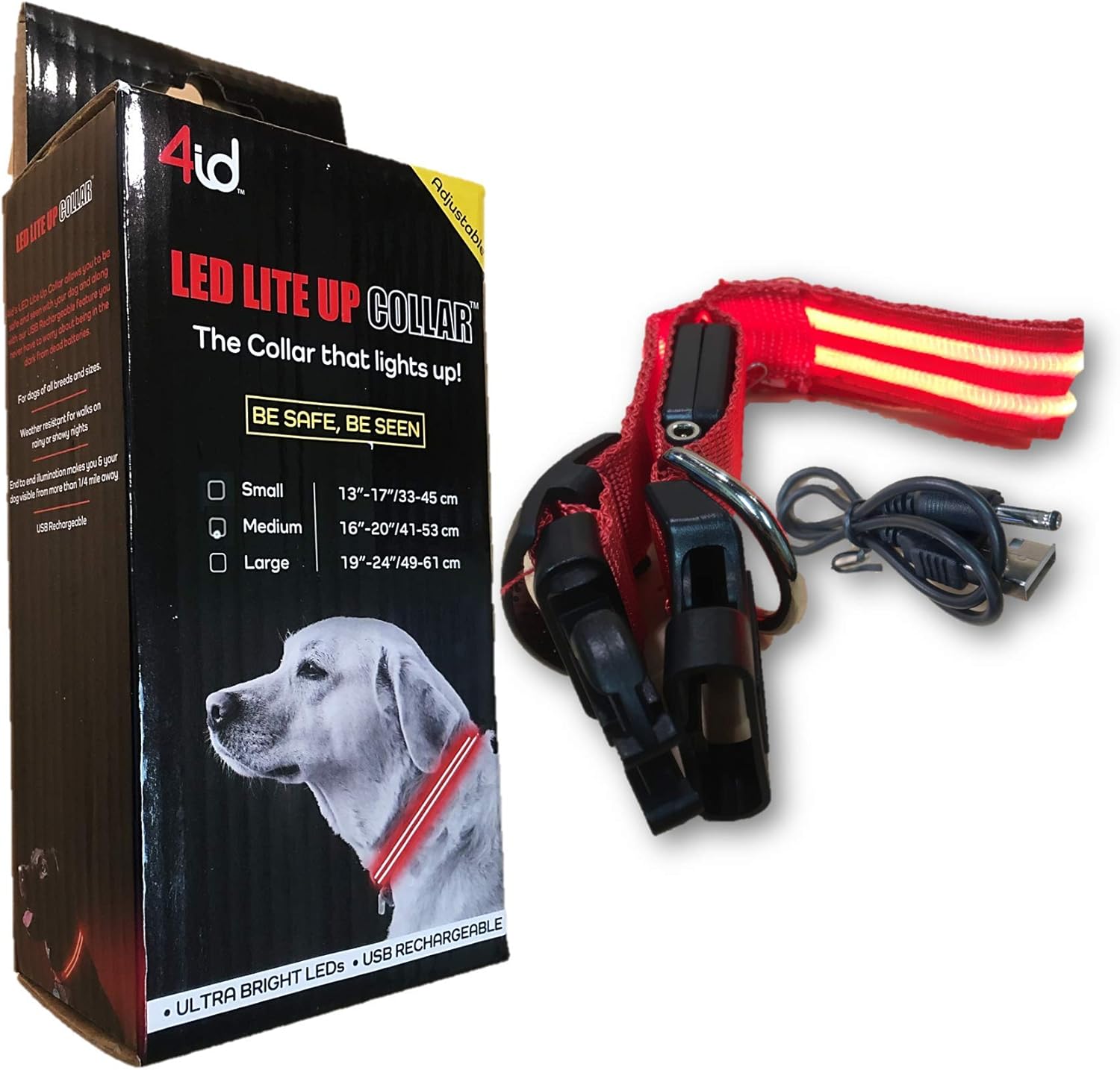 curly long haired dachshund