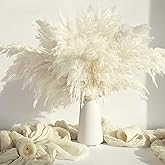 20PCS White Pampas Grass Decor, Natural Dried Pampas Grass Bulk Short Pompas Grass Vase Fillers, Cream Pampas Perfect for Wed