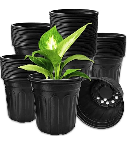 Greenhouse Carry Trays For 6-Pocket 1 Gallon Shuttle Pots – Sturdy, Case Of 50, USA Made - View #4