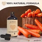 Organic Carrot Seed Oil 50ml Cold-Pressed Vegan Germany view 3