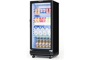 ICEVIVAL 6 Cu.Ft Commercial Refrigerators, Display Fridge with Double-Tempered Glass Door, Beverage Cooler for Bar, Office, Restaurant, Outdoor Beverage Refrigerator with Locking, Key & LED