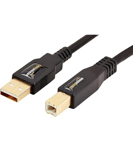 Amazon.com: Storel USB B MIDI Cable MIDI Keyboard USB Cable