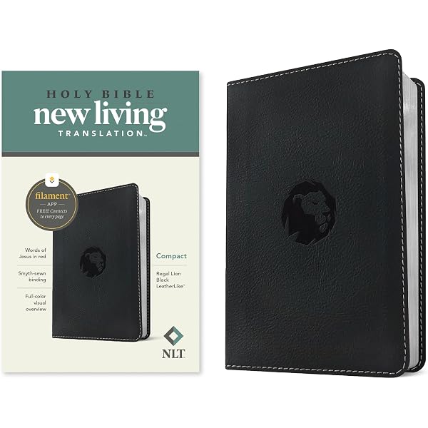 NLT Compact Zipper Bible, Filament Enabled (LeatherLike, Charcoal
