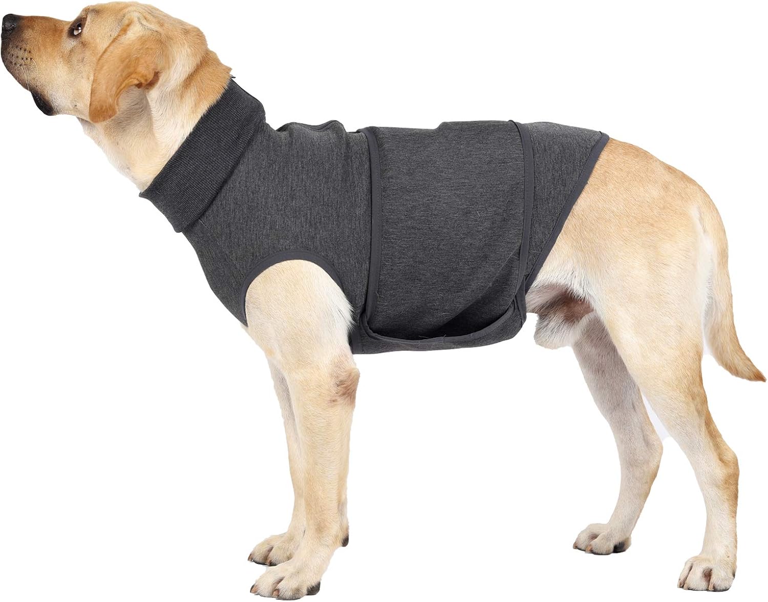 Heywean Dog Anxiety Relief Jacket Soft Vest Coat Anxiety Wrap Shirt For