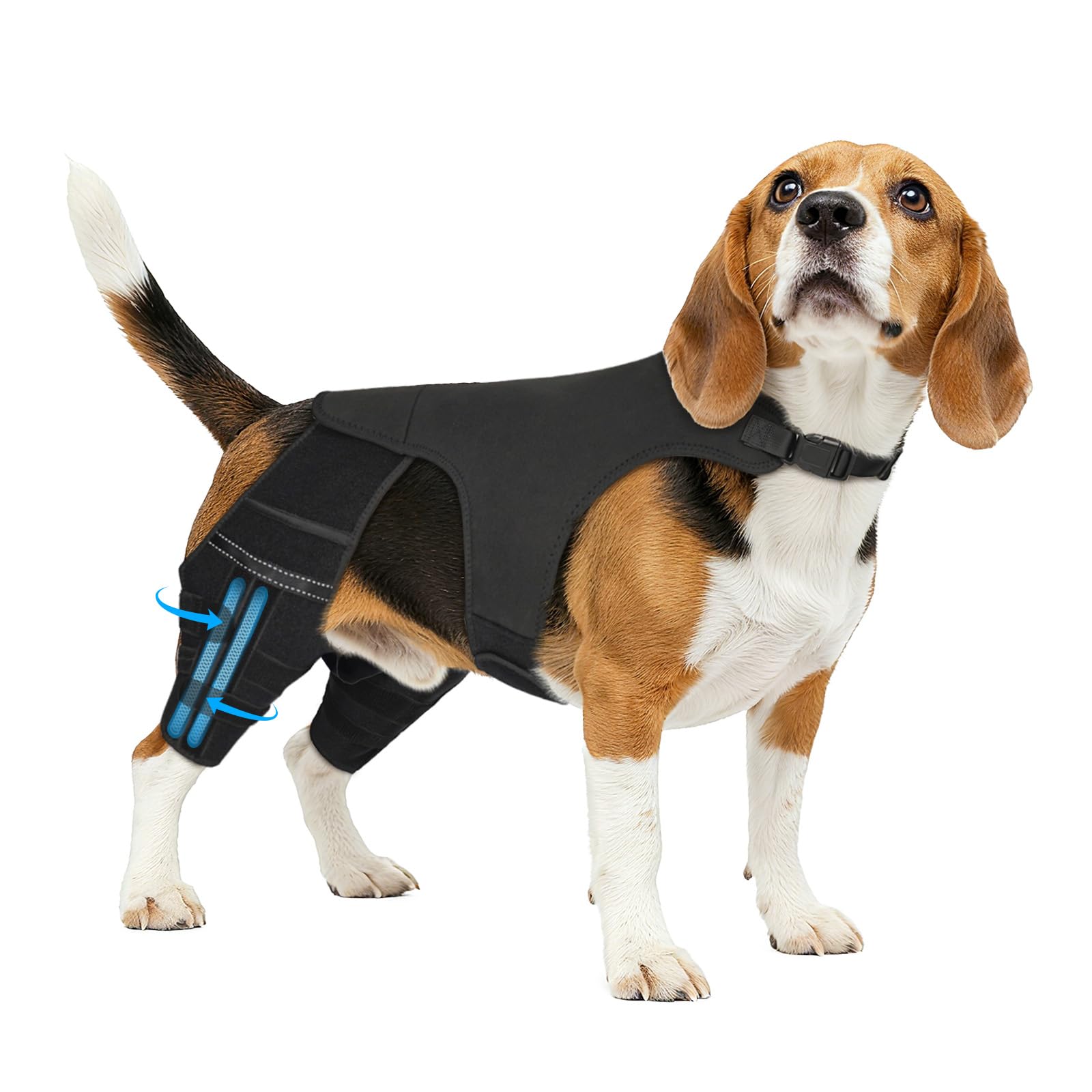 Photo 1 of Marnonsis Dog Leg Braces for Back Leg, Adjustable Dog Knee Brace for Torn Acl Hind Leg with 4 Stabilizers, Hip Support to Reduces Pain, Ligament Injuries, Luxating Patella, M