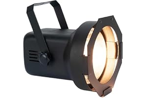ELIMINATOR LIGHTING Eliminator Par38EL Black Metal par can with 150 watt Incandescent lamp Wide Flood.