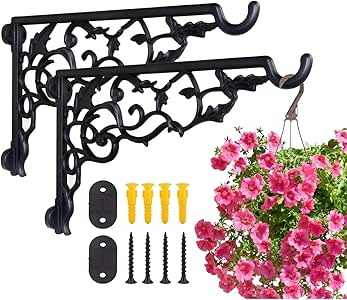 indoor hanging plant wall bracket