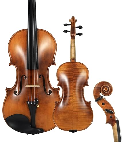 Amazon.com: D'Luca Strauss Professional Violin Outfit 4/4 with
