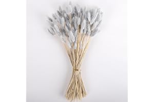 Silvery Grey Bunny Tails Dried Flowers Bulk, 110-120pcs Silvery Grey Rabbit Tails Dried Grass ,XMFAYUAN Small Grey Pampas Grass Bouquet Natural Dried Plant for Home Decor and Gifting (16-17")