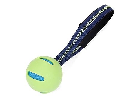 Bubimex 4417 Pelota con Cuerda para Perro: Amazon.es: Productos ...