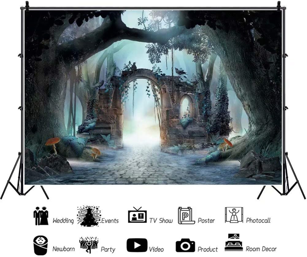 Accessories DaShan 12x8ft Fairytale Backdrop Enchanted Forest Halloween  Theme Party Decor Misty Forest Photography Background Scary Gloomy Jungle  Theme Party Witchcraft Birthday Banner Photo Studio Props  avenueeventgroup.com