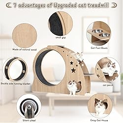 5-in-1 Cat Wheel,Cat Exercise Wheel,41.3" High