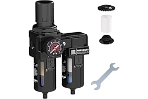 NEWPO 3/8"NPT Air Dryer System,Double Air Filter Regulator -5 Micron Brass Cartridge and 0.5 Micron Fiber Cartridge,Semi-Auto Drain,Metal Bracket