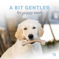 Benebone Puppy Wishbone Dog Chew Toy, Made in