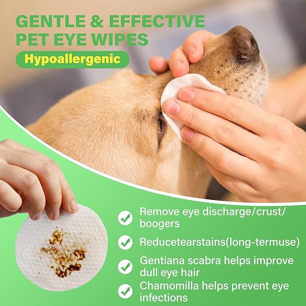 GJYC PET 3.2 INCH DOG EYE WIPES – TEAR STAIN REMOVER FOR DOGS, GENTLE FORMULA FOR CATS AND DOGS, QUICK CARE FOR BRIGHT FUR, THICK, SOFT AND SKIN-FRIENDLY, LARGE SIZE, 120PCS