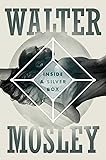 Inside a Silver Box: A Novel
