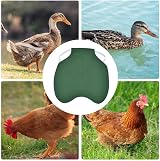 WANGHUI Poultry Jacket Vest Chicken Back Protector Apparel for Birds view 2