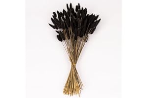 Black Bunny Tails Dried Flowers Bulk, 110-120pcs Black Rabbit Tails Dried Grass ,XMFAYUAN Small Black Pampas Grass Bouquet Natural Dried Plant for Home Decor and Gifting (16-17")