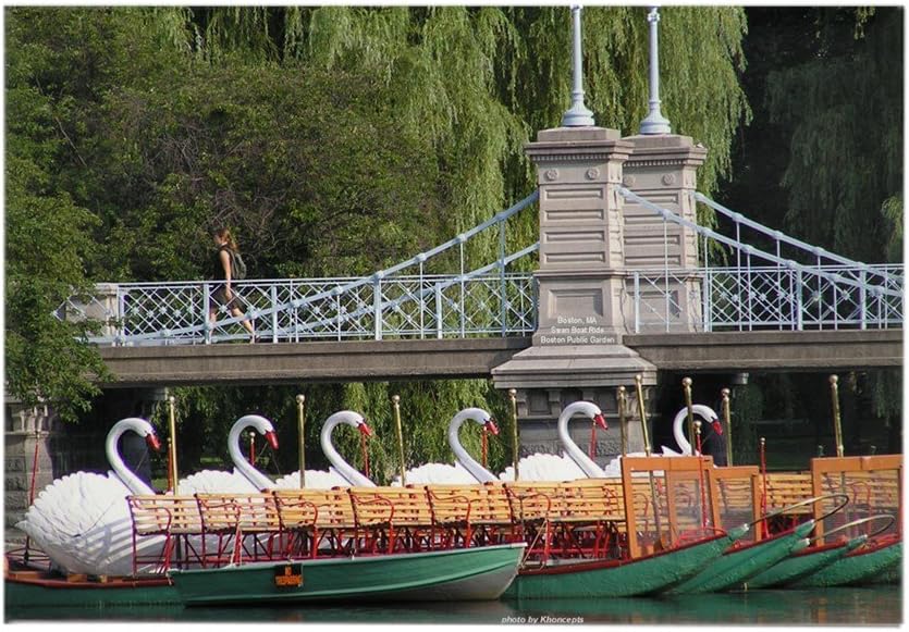 CafePress Boston Swan Boats Photo Rectangle Magnet Rectangle Magnet, 2"x3" Refrigerator Magnet
