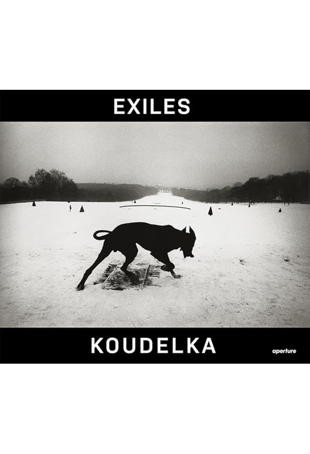 Amazon.com: Bruce Davidson: In Color: 9783869305646: Davidson