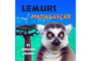 Lemurs of Madagascar