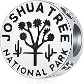 Joshua Tree National Park Round Charm, Fits Pandora Travel Bracelet, 925 Sterling Silver Vintage American Souvenir California Beads, Gifts for Friends/Birthday