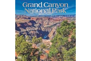 Grand Canyon National Park | 2025 12 x 24 Inch Monthly Square Wall Calendar | Foil Stamped Cover | Plastic-Free | BrownTrout | USA United States of America Scenic Nature