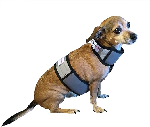 Ice collar for dogs Clearance