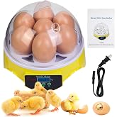 Gen 1-7 Egg Incubator for Kids &amp; Beginners with 360&deg; View, Manual Temperature Control for Chicken, Quail, and Parrot Eggs
