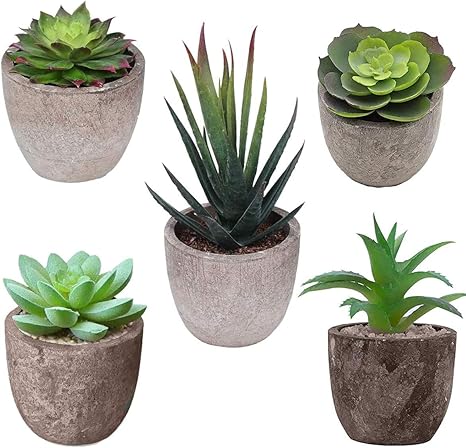Amazon 人工多肉植物5個の人工鉢植えの植物fnte脂肪植物 家 オフィス 屋外の装飾に最適 人工観葉植物 オンライン通販