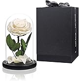 Preserved Flowers White Roses in Glass Dome, Preserved Rose Never Withered Flower Gifts for Her, Mother's Day, Birthday Gifts for Women