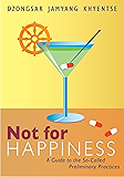 Not for Happiness: A Guide to the So-Called Preliminary Practices