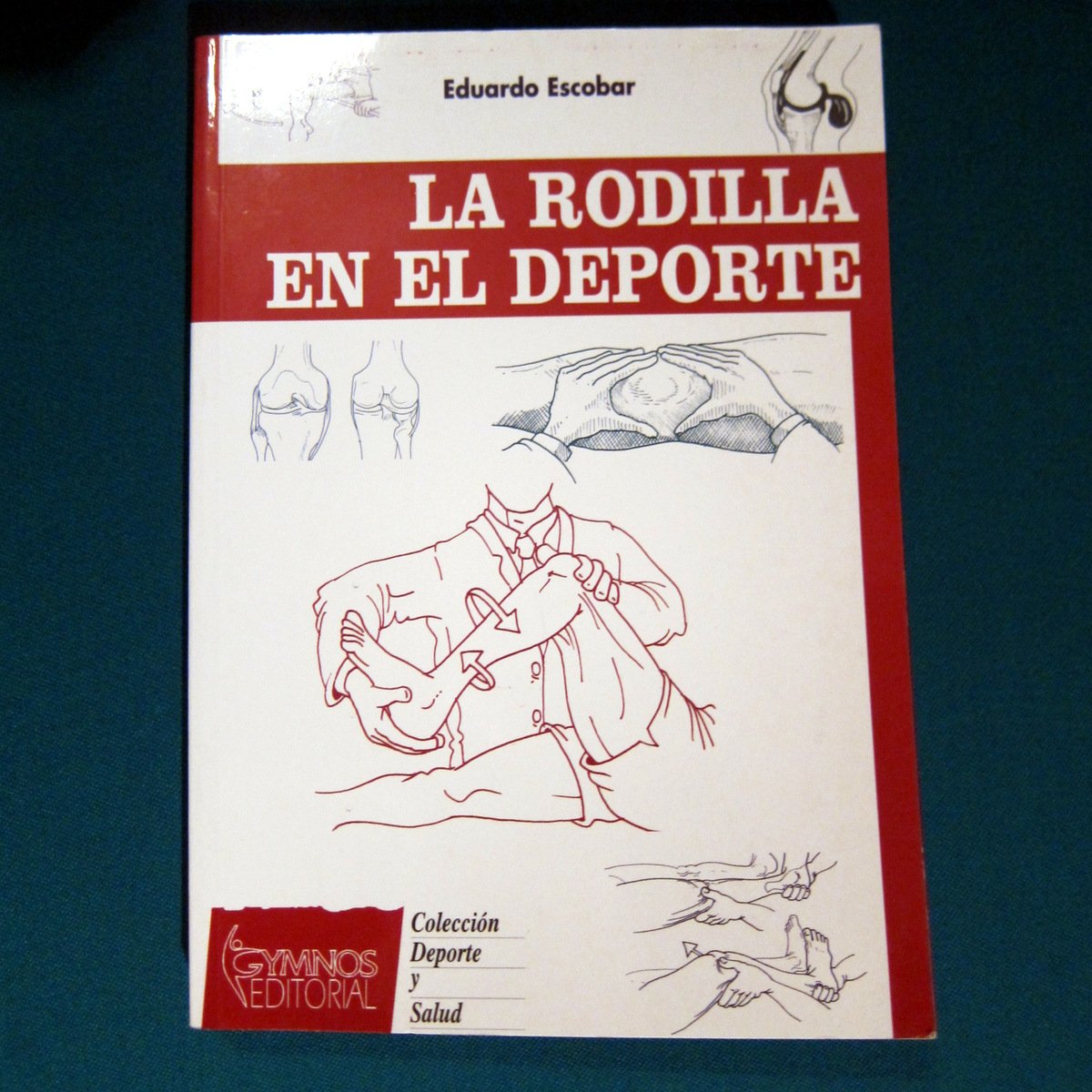 Portada de La rodilla en el deporte