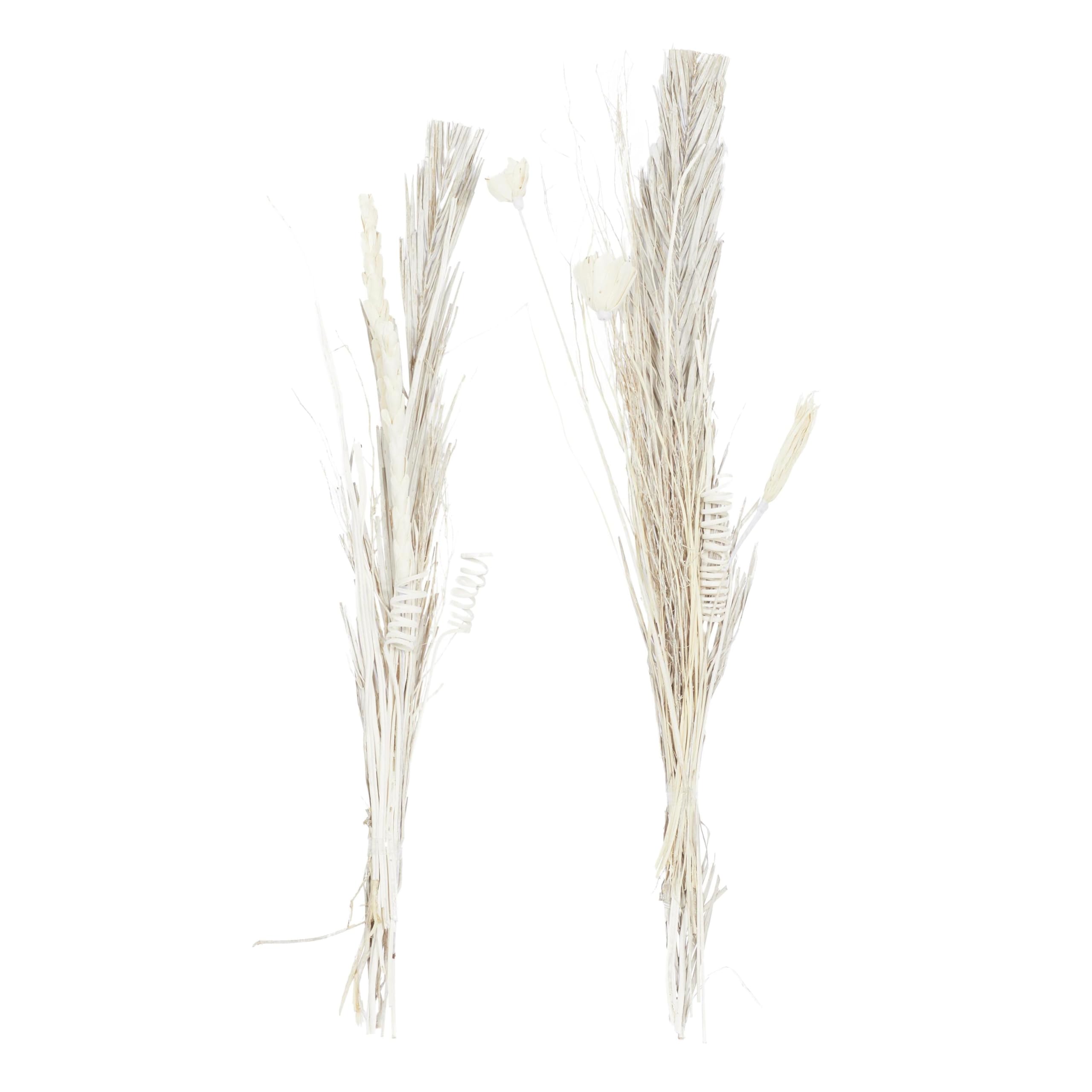 Photo 1 of Deco 79 Dried Plant Pigeon pea Tall Sticks Natural Foliage, Set of 2 7"W, 56"H, Brown