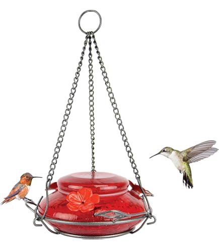 Bird's Choice Kolibri-Futterstation „Herz“ – Mittelgroß, Rot, Hält 3 Unzen Nektar, Dekorativ