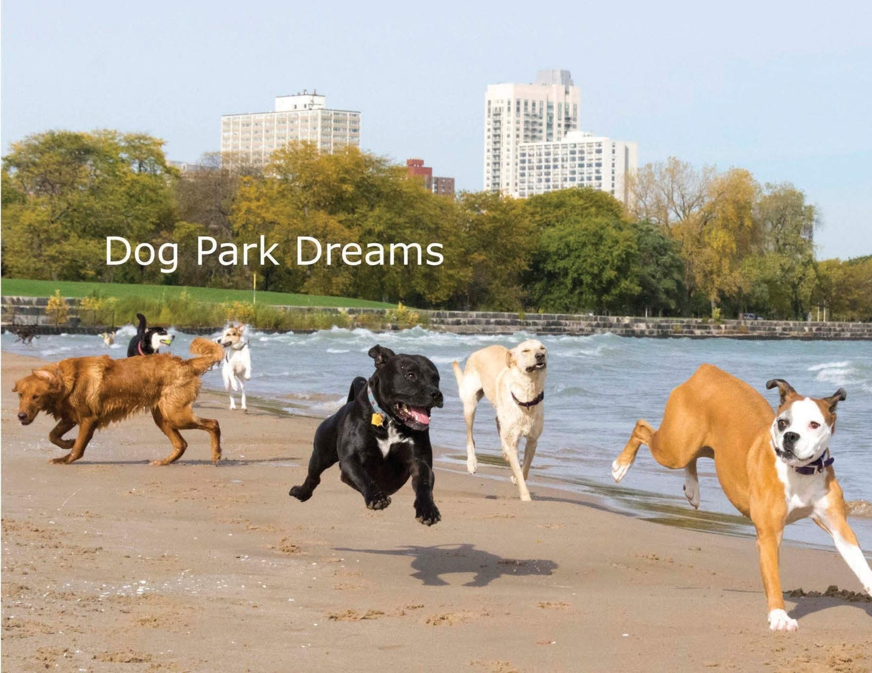 amazon dog park