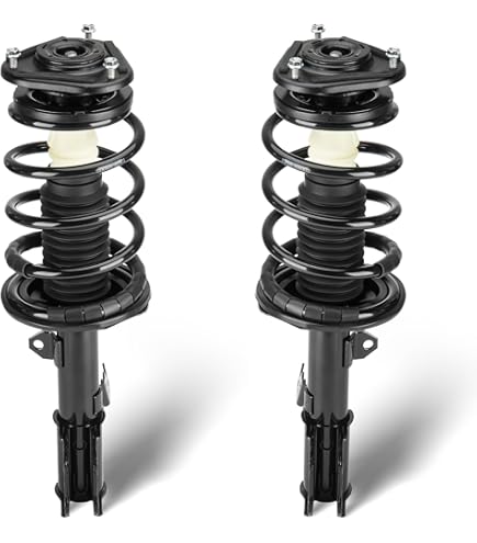 Amazon.com: Rear Shock Absorber w/Coil Spring Complete Struts