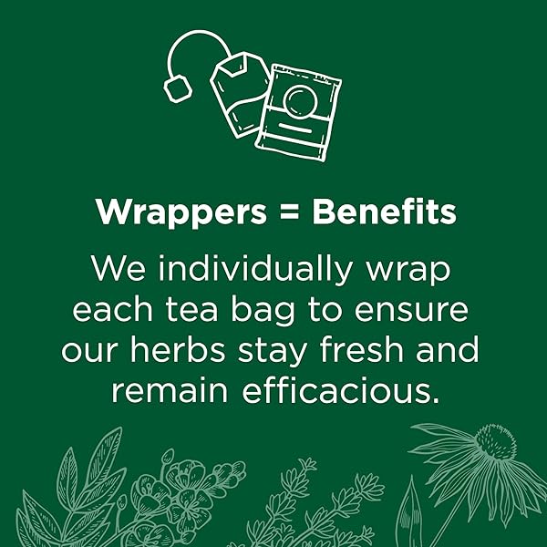 TRADITIONAL MEDICINALS TEA, ORGANIC SPEARMINT, SUPPORTS EVERYDAY WELLNESS, HEALTHY & REFRESHING – 48 TEA BAGS