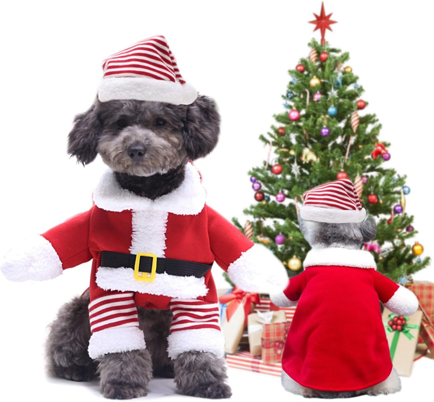 Irayin Santa Claus Suit for Dogs & Cats - Christmas Dog & Cat Costumes, Pet Clothes, Santa Claus Cosplay Hoodie (M)