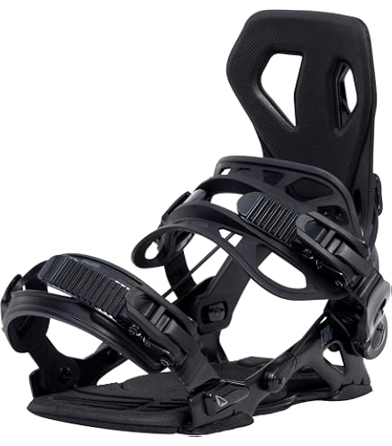 Amazon.com : SP BINDINGS Snowboard Binding Team Titanium | Color